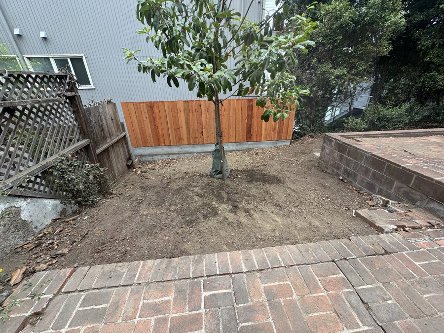 2465 Union St photo 12
